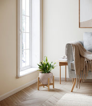 Load image into Gallery viewer, Desert Brown stand:bamboo