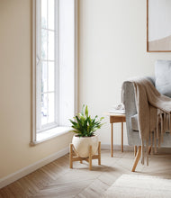 Load image into Gallery viewer, Shiny EggWhite stand:bamboo