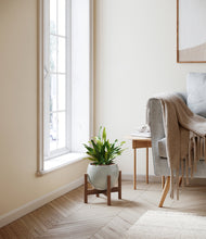 Load image into Gallery viewer, Deep Ocean stand:walnut