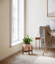 Load image into Gallery viewer, Calm Rose stand:walnut