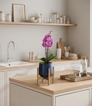 Load image into Gallery viewer, Deep Navy stand:bamboo