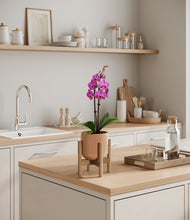 Load image into Gallery viewer, Glossy Pink stand:bamboo