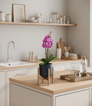 Load image into Gallery viewer, Iron Gray stand:bamboo