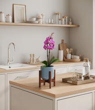 Load image into Gallery viewer, Misty Blue stand:walnut