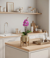 Load image into Gallery viewer, Sage Green stand:bamboo