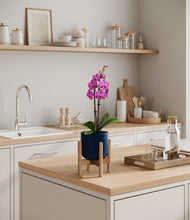 Load image into Gallery viewer, Twilight Blue stand:bamboo