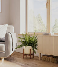 Lade das Bild in den Galerie-Viewer, Almond Green stand:walnut
