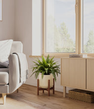 Load image into Gallery viewer, Almond Green stand:dark