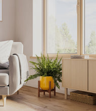 Lade das Bild in den Galerie-Viewer, Mustard stand:walnut