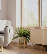 Lade das Bild in den Galerie-Viewer, Olive stand:bamboo