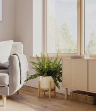 Lade das Bild in den Galerie-Viewer, Almond Green stand:bamboo
