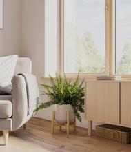 Lade das Bild in den Galerie-Viewer, Eternal Gray stand:bamboo