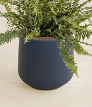 Lade das Bild in den Galerie-Viewer, Deep Navy stand:all