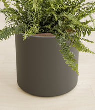 Lade das Bild in den Galerie-Viewer, Dark Olive stand:all