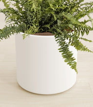 Lade das Bild in den Galerie-Viewer, White stand:all