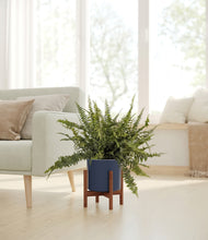 Lade das Bild in den Galerie-Viewer, Deep Navy stand:walnut