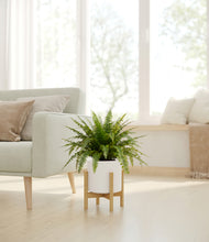 Load image into Gallery viewer, White stand:light