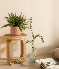 Lade das Bild in den Galerie-Viewer, Calm Rose