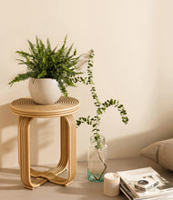 Lade das Bild in den Galerie-Viewer, Shiny EggWhite