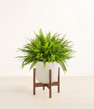Lade das Bild in den Galerie-Viewer, Natural Bamboo stand:dark