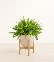 Lade das Bild in den Galerie-Viewer, Sandy Pink stand:light