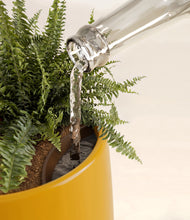 Lade das Bild in den Galerie-Viewer, Mustard stand:all
