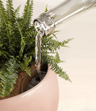 Lade das Bild in den Galerie-Viewer, Calm Rose stand:all
