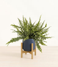 Lade das Bild in den Galerie-Viewer, Deep Navy stand:bamboo