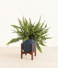 Lade das Bild in den Galerie-Viewer, Deep Navy stand:walnut