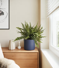 Lade das Bild in den Galerie-Viewer, Deep Navy