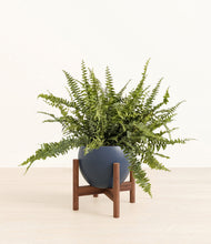 Lade das Bild in den Galerie-Viewer, Deep Navy stand:walnut