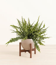 Lade das Bild in den Galerie-Viewer, Desert Brown stand:walnut