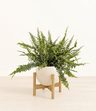 Lade das Bild in den Galerie-Viewer, Shiny EggWhite stand:bamboo