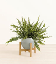 Lade das Bild in den Galerie-Viewer, Deep Ocean stand:bamboo