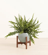 Lade das Bild in den Galerie-Viewer, Deep Ocean stand:walnut