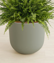 Load image into Gallery viewer, Sage Green stand:all