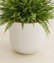 Load image into Gallery viewer, Natural Bamboo stand:all