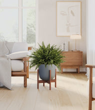 Load image into Gallery viewer, Sage Green stand:walnut