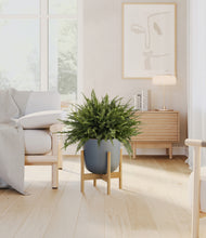 Load image into Gallery viewer, Sage Green stand:bamboo