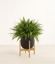 Load image into Gallery viewer, Stone Black stand:bamboo