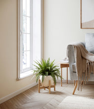 Load image into Gallery viewer, Shiny EggWhite stand:light