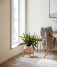 Lade das Bild in den Galerie-Viewer, Calm Rose stand:bamboo