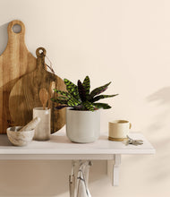 Load image into Gallery viewer, Cotton White