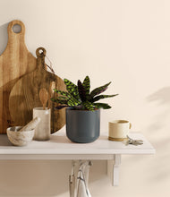 Load image into Gallery viewer, Iron Gray