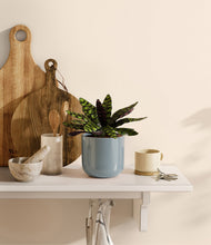 Load image into Gallery viewer, Misty Blue