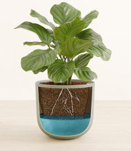 Lade das Bild in den Galerie-Viewer, Sage Green stand:all