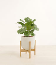 Lade das Bild in den Galerie-Viewer, Natural Bamboo stand:bamboo