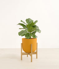 Lade das Bild in den Galerie-Viewer, Sunset Orange stand:bamboo