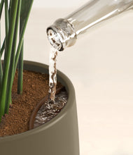 Load image into Gallery viewer, Olive stand:all