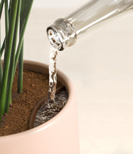 Load image into Gallery viewer, Gentle Pink stand:all